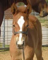 MissBerry20093